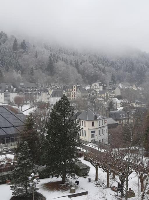 Le Sarciron 82 Leilighet Le Mont-Dore Eksteriør bilde